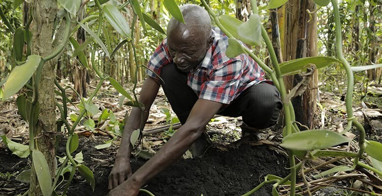A man digging