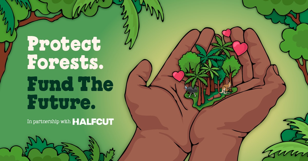 Illustration of hands holding a forest scene