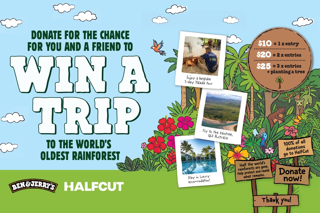 Win A Trip